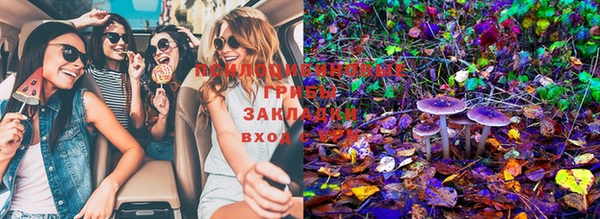 альфа пвп Няндома