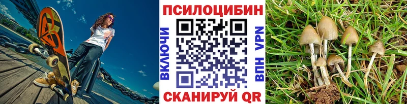 Галлюциногенные грибы прущие грибы  сколько стоит  Кашира 