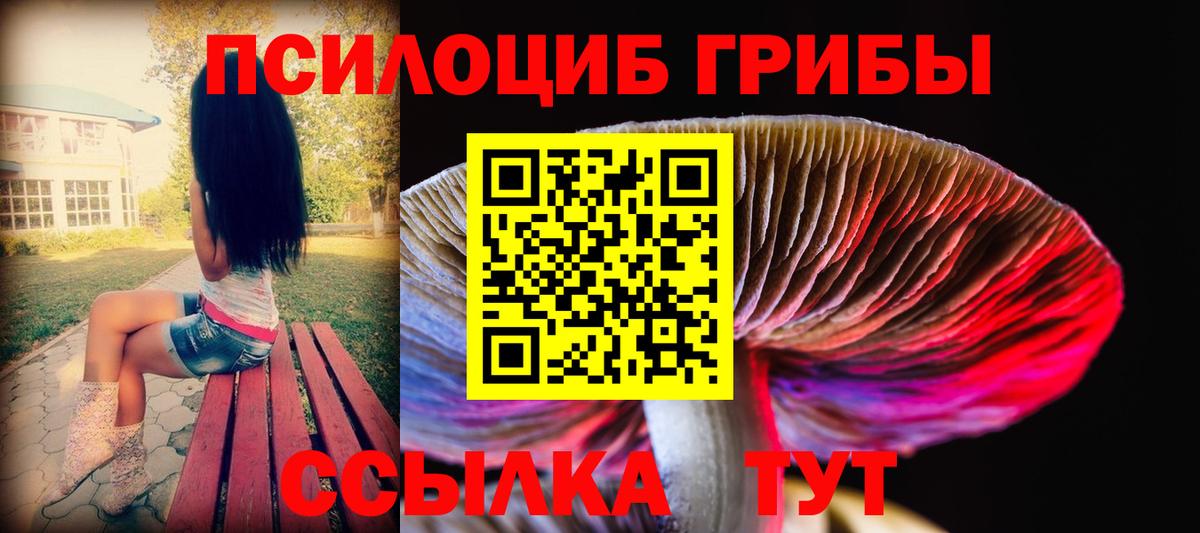 Кашира  Галлюциногенные грибы Magic Shrooms  Вход с VPN 
