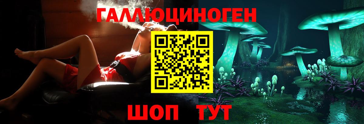 Галлюциногенные грибы Cubensis Кашира